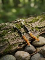 download-2026-01-02T202101.69